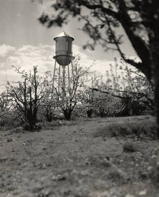 1927 photograph of I Tower. View of the tree and shrubs.