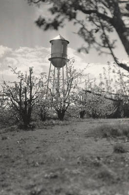 1927 photograph of I Tower. View of the flowering shrubs.