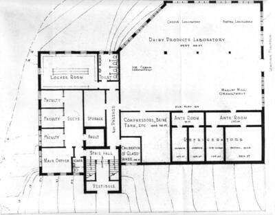 1945 photograph of Dairy Science Building. View of the floor plans.