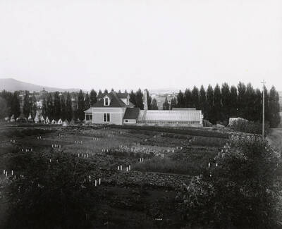 1902 photograph of Horticulture Building. View of planting plots.