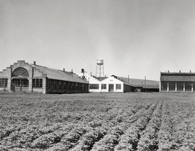 1936 photograph of the Engineering laboratories. Fields in the foreground.