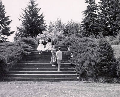 1955 photograph of Memorial Steps. Students talking on steps.