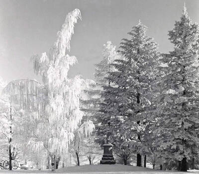 1920 photograph of Spanish American War Memorial. Statue is surrounded by snow covered trees. Donor: Publications Dept..