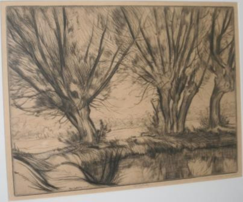 Etching print depicting trees by a body of water. It is printed on buff paper. It is displayed on an off white mat and in a silver frame.