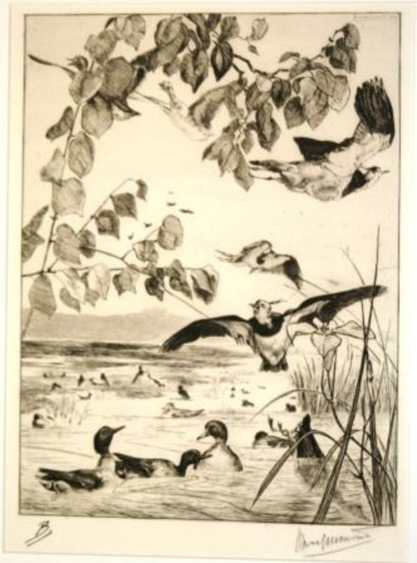 Print showing ducks and birds in water with overhanging vegetation printed in black ink on cream paper.