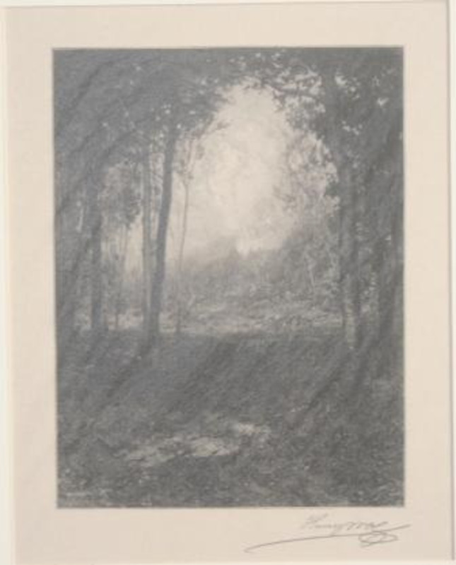 Wood engraving of a forest view. The artist was influenced by the works of Alexander H. Wyant