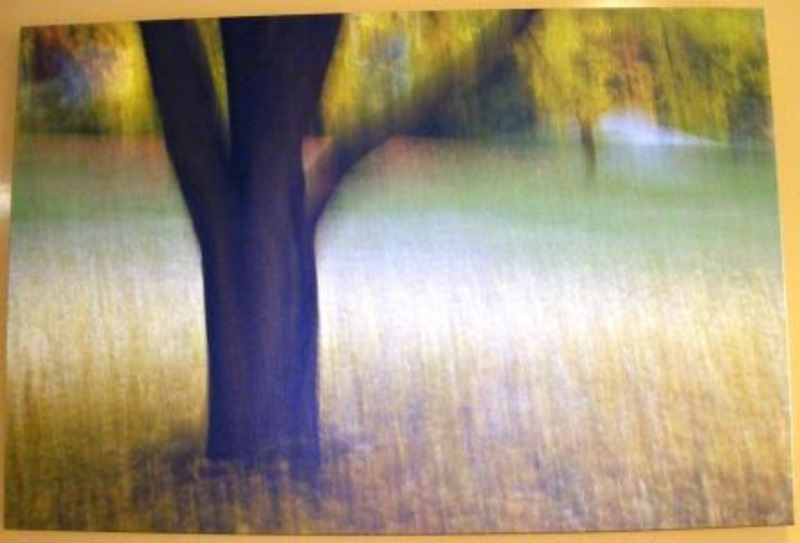 Print of a large tree with a thick trunk surrounded by tall grasses.