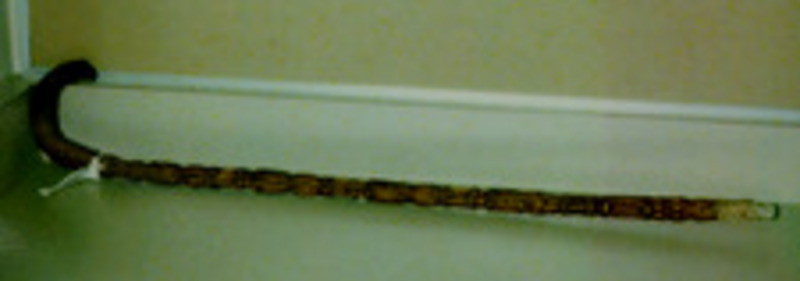 Wooden walking cane with an animal head carved on the handle.