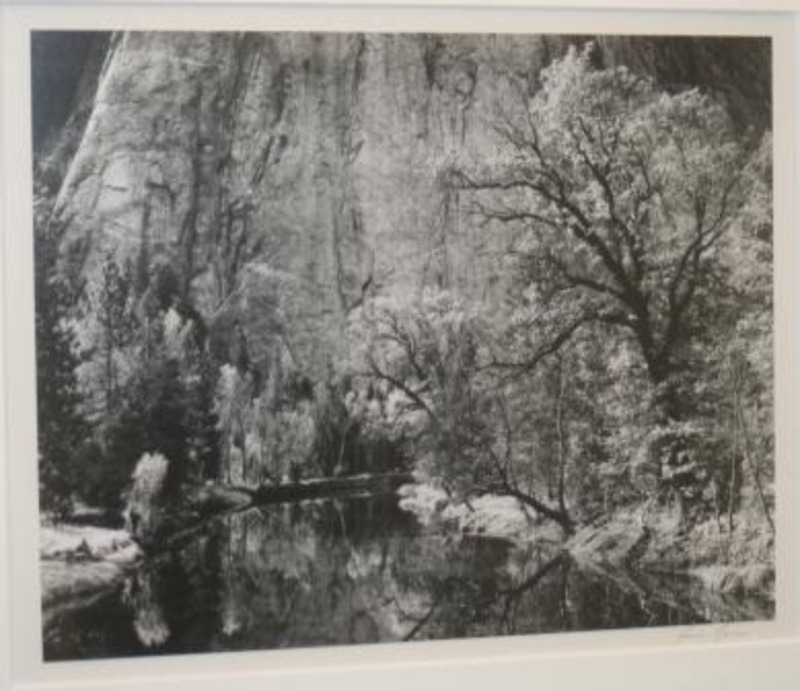 Photograph of trees surrounding the Merced river in front of the cliff of Cathedral Rocks in the Yosemite Valley