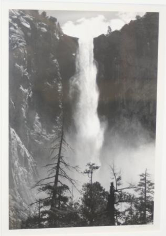 Photograph of the Bridal Veil Fall cliff face with trees in the foreground in the Yosemite Valley.