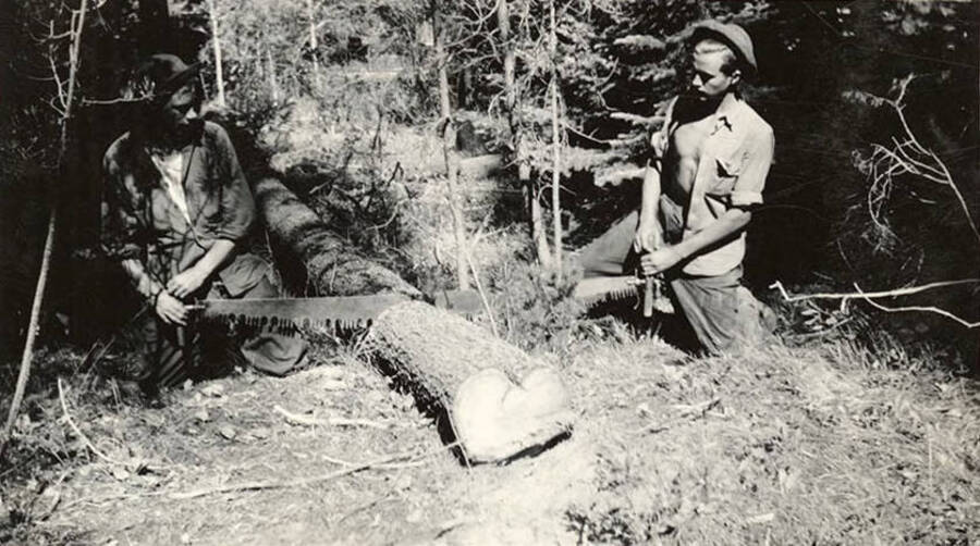 Two CCC men cross-cutting a log with a saw. Writing below the photo reads: ''Tex' and I'.