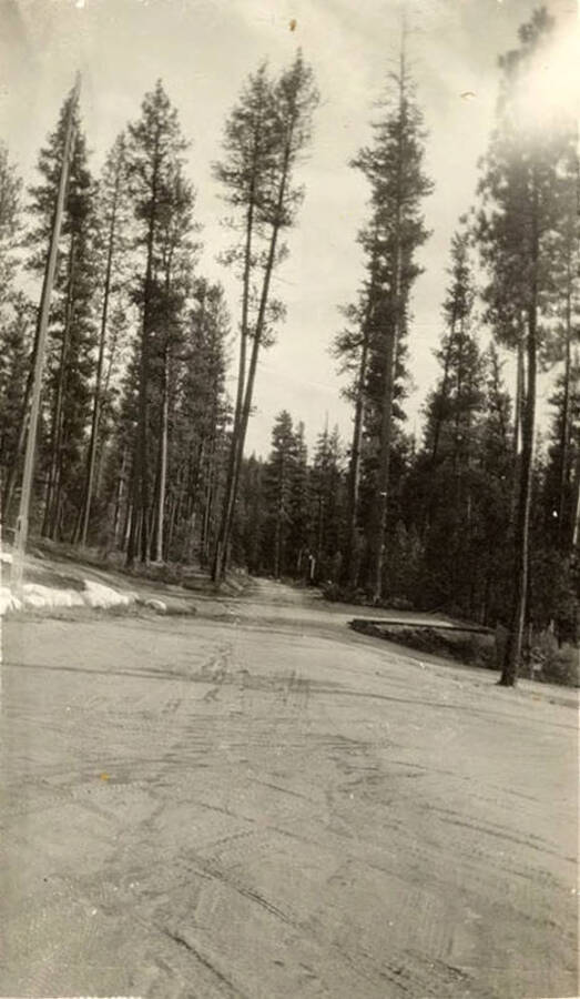 Photo of a fork in the road in the middle of the woods. Writing below the photo reads: 'To Cascade'.