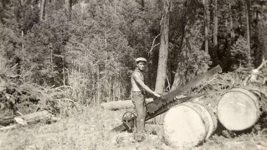 A CCC man posing with a drag saw standing over a cut log. Writing below the photo reads: 'McCann and the drag saw'.