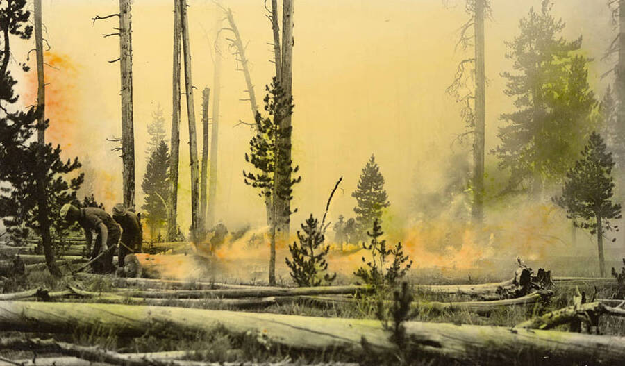 Several CCC men fighting a forest fire using hand tools, several felled trees rest in the foreground and smoke obscures the background. Photo is tinted. Writing below the photo reads: 'Fighting'.
