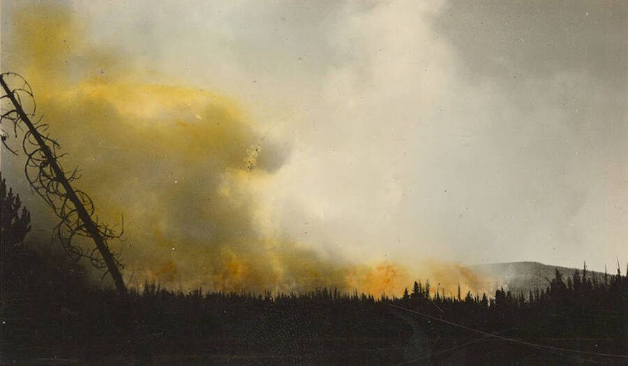 Photo of a forest fire. Writing below the photo reads: '!!! Fire !!!'. Tinted photo.