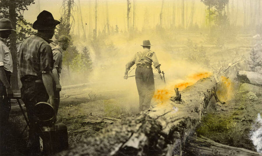 CCC Man setting a fire line with a bicycle driptorch. Writing below the photo reads: 'A'. Tinted photo.