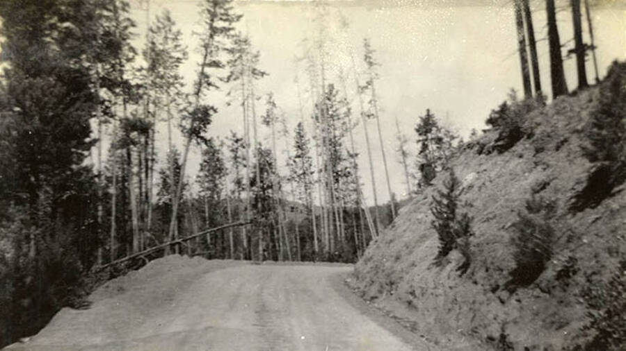 Photo of the road to Cascade, ID from CCC Camp F-168. Writing under the photo reads: 'Road to Cascade'.