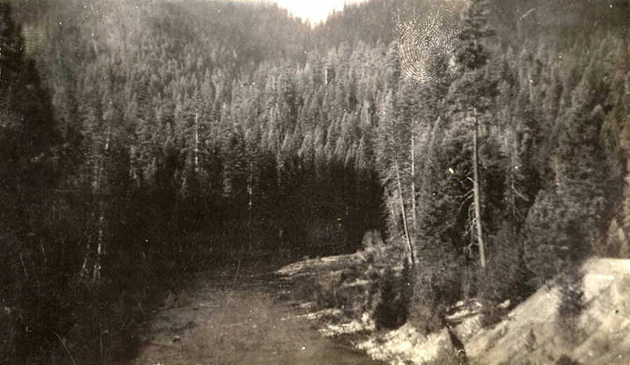 Photo of a river curving through a forest, which rises into the hills above the river.
