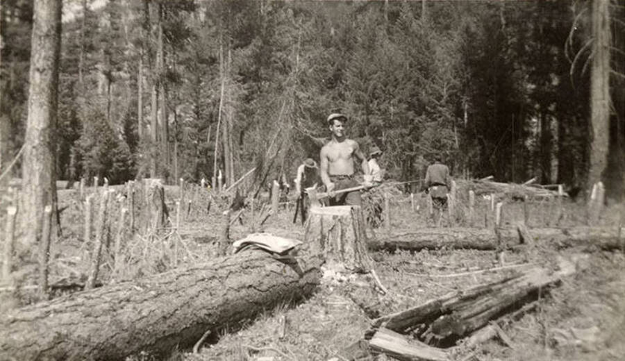 Photo of a CCC work crew felling trees, large and small in a small area. In the center of the photo there is a shirtless man with an axe. Writing under the photo reads: 'McMann'.
