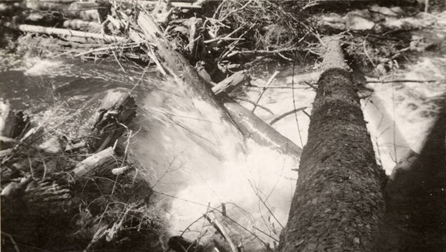 A photo of a small stream packed with logs and flowing at a high rate.