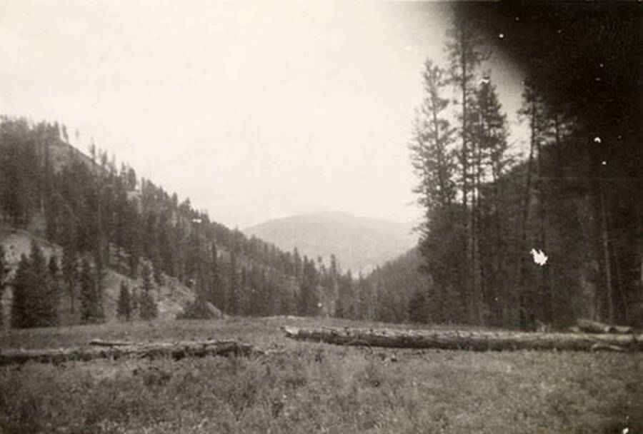 Photo of the airfield near CCC Camp F-168, with two felled logs laying across the field.