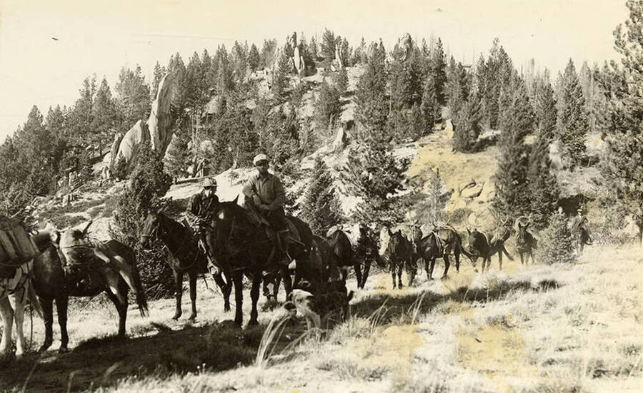 Pack horses and their riders in a line across a field. Rising above them in the background is a craggy hill, in the foreground is a small dog. Writing under the photo reads: 'Packers and Teams'.