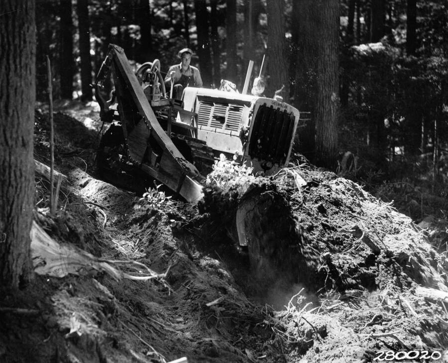 CCC man driving a bulldozer through the forest on a road building project. Label on the bulldozer reads 'caterpillar'. Writing below the photo reads: 'U.S. Forest Service Photo A big bulldozer being driven by a CCC enrollee on a road building job deep in the forests of the North Pacific region. CCC operates some 45,000 pieces of big machinery like this one;learns to operate them and learns to take care of them.'