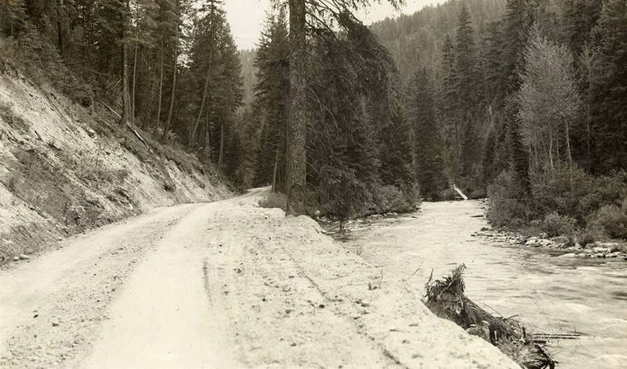 Photo of a road along the South Fork of the Salmon River. Writing below the photo reads: ' So. Fork Salmon River'.