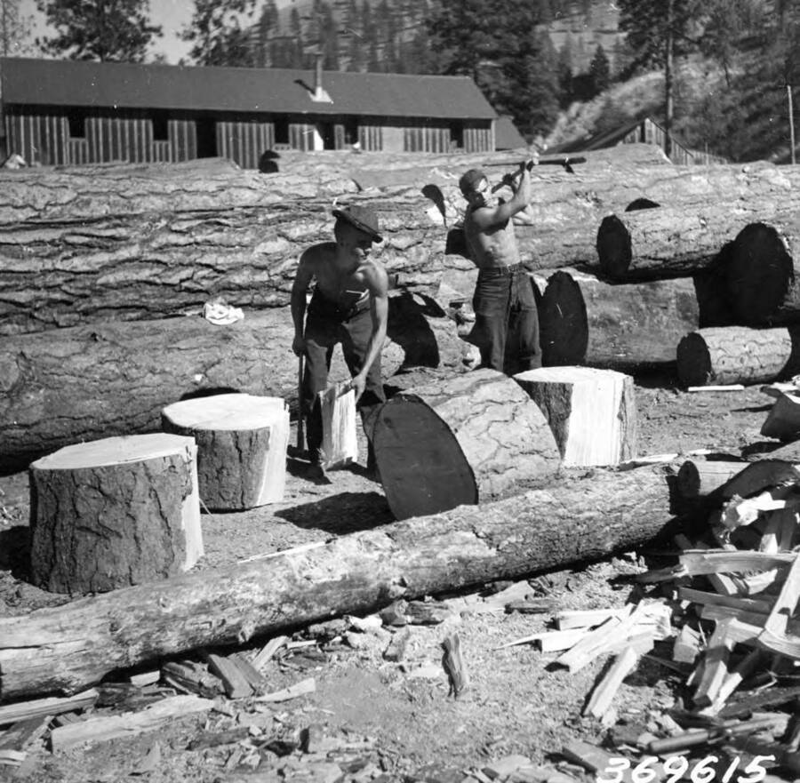 Boys of CCC French Creek Camp, F-109, chopping wood. The wood had been insect killed and was nonmerchantable. Photo taken in September. (Picture identifies the camp number as F-1090. Writing on photo reads: '369615'.
