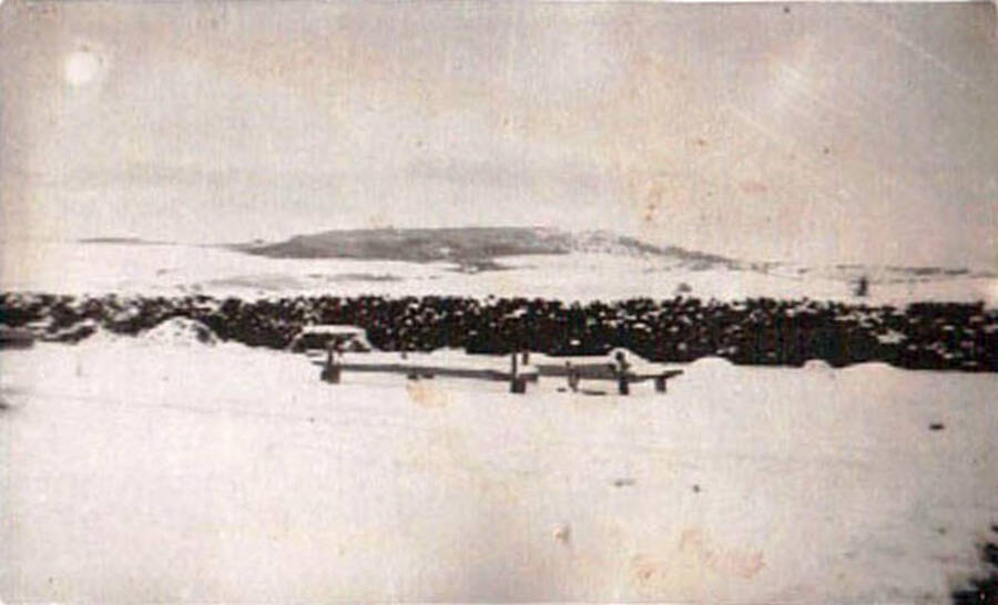 Photo of a long pile of firewood in a snowy field. Writing under the photo reads: 'Paradise Ridge'.