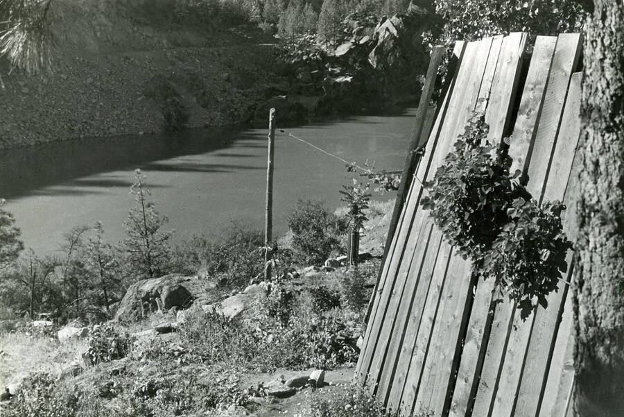 A row of wooden boards lean up against some trees on the bank of the Salmon river. Mrs. Standish's  protective barriers from Salmon River Road blasts.