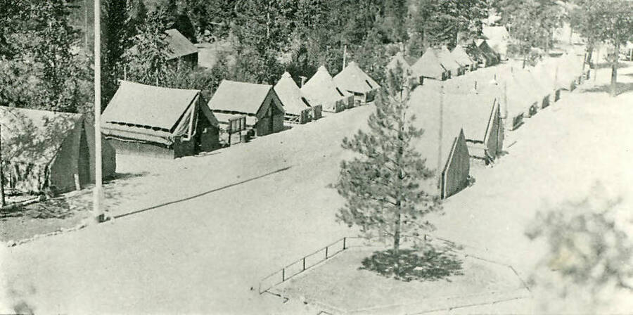 View of rows of tents surrounded by trees at Camp Deep Creek.