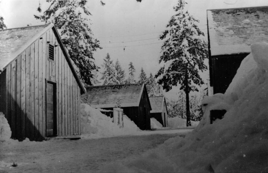 Two rows of barracks in a CCC camp covered in snow. Writing beneath the photo reads: '1850.0017. Camp S-223 street in winter, McCall, 1935'.