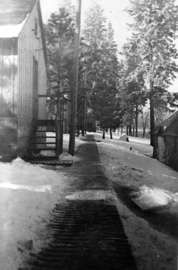 A wooden path leads past the entrance to a barrack in a CCC Camp, snow covers the ground. Writing beneath the photo reads: '1850.0025. New snowfall, S-223, McCall, 1935'.
