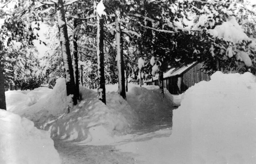 A path splits in two directions between banks of snow at CCC Camp S-223. Trees line the paths and a building can be seen at the end of the path on the right, presumably the recreation hall. Writing beneath the photo reads: '1850.0033. Winter camp, 'Y' Junction, right to Rec Hall, left to Mess Hall, S-223, McCall, 1935.'
