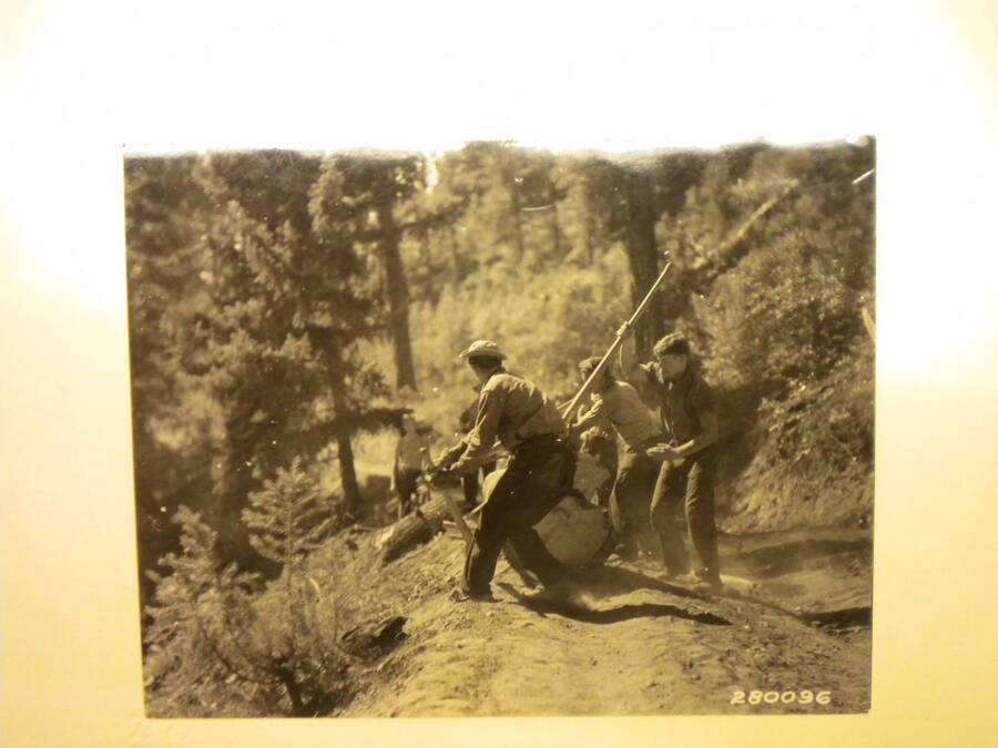 CCC men clearing the roadside at the Boise National Forest (280096) in Idaho. Many men can be seen trying to move a log in the middle forest.