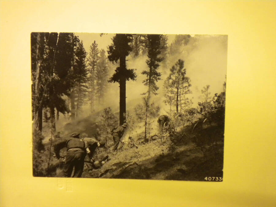 CCC men fighting fires in Idaho. Many men can be seen bent low and working among the burnt trees.