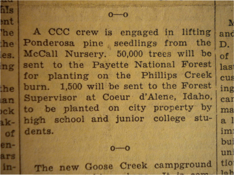 Collection of four stories relating to forestry, including a bid from Brown's Tie & Lumber Co. on board-cutting, the delivery of Ponderosa Pine seedlings around the state and news of the new Goose Creek campground.