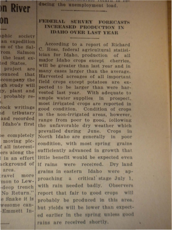 Article detailing a report of Idaho's federal agricultural statistician, Richard C. Ross, in which Ross suggested that every major Idaho crop except cherries will increase in the next year.