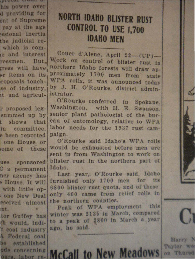 Article announcing that 1700 men will be employed in northern Idaho to work on controlling blister rust.