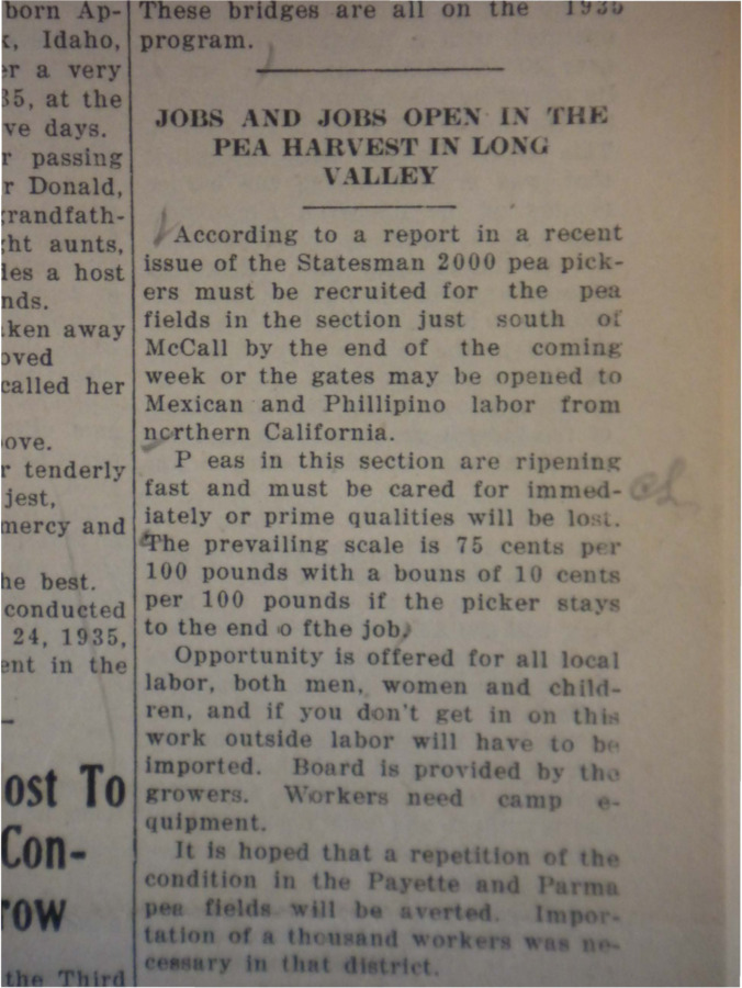 Article about a report in a recent issue of the Statesmen, in which 2,000 pea-pickers must be recruited to pick the fields south of McCall, otherwise, Mexican and Phillipino laborers will be hired.