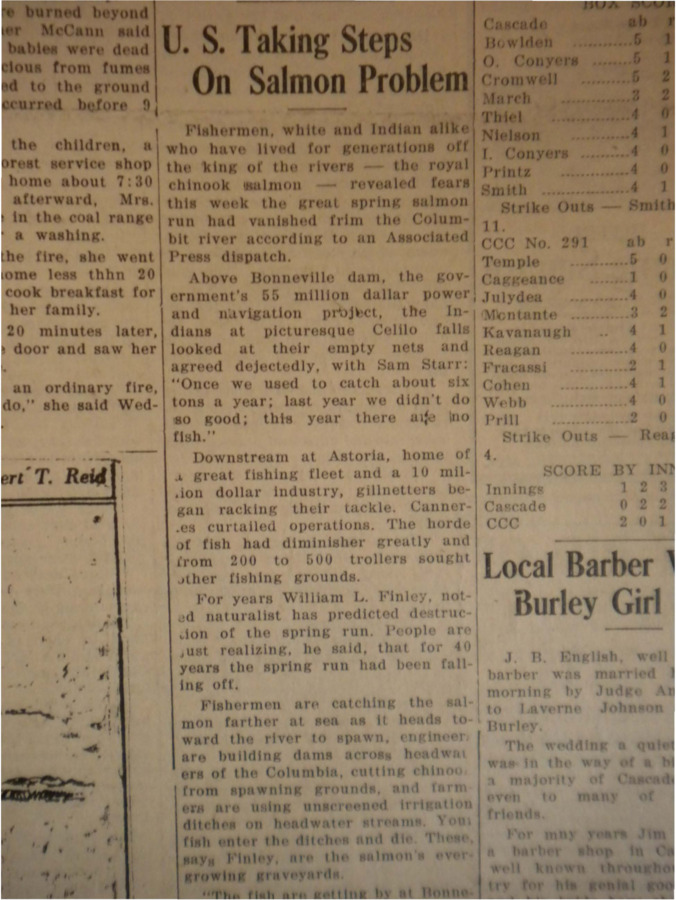 Article announcing the fears displayed by fishermen that the spring salmon run had disappeared from the Columbia River.
