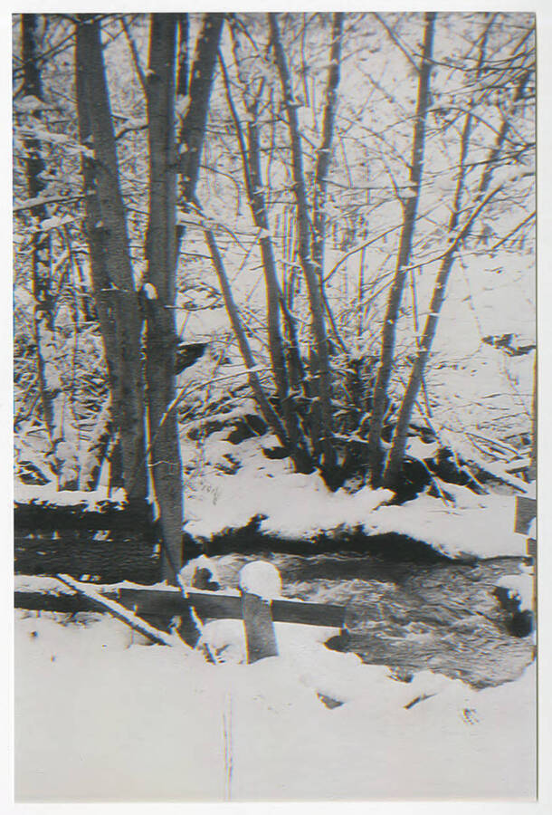 Photograph of Elk Horn Creek in the winter of 1940-41. Because there was no plumbing to the Busch house, an approach path can be seen leading to the water.