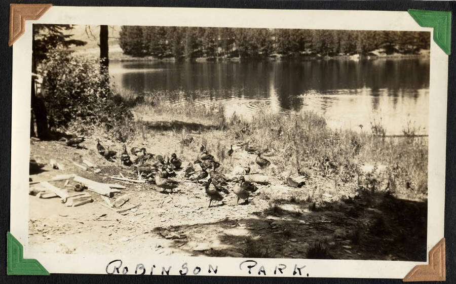 Robinson Park Lake, built by SCS-1, C-1503, Camp Moscow. Captioned 'Robinson Park'. From the Paul Saft photographic album, SCS-1, C-1503, 1938-39, depicting camp life, taken mostly in the Moscow, Lewiston, Robinson Lake areas.