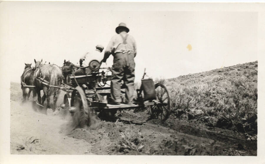Horse-pulled plow with men holding reins, possibly clearing a trail with a small plow, Ft. Hall camp.
