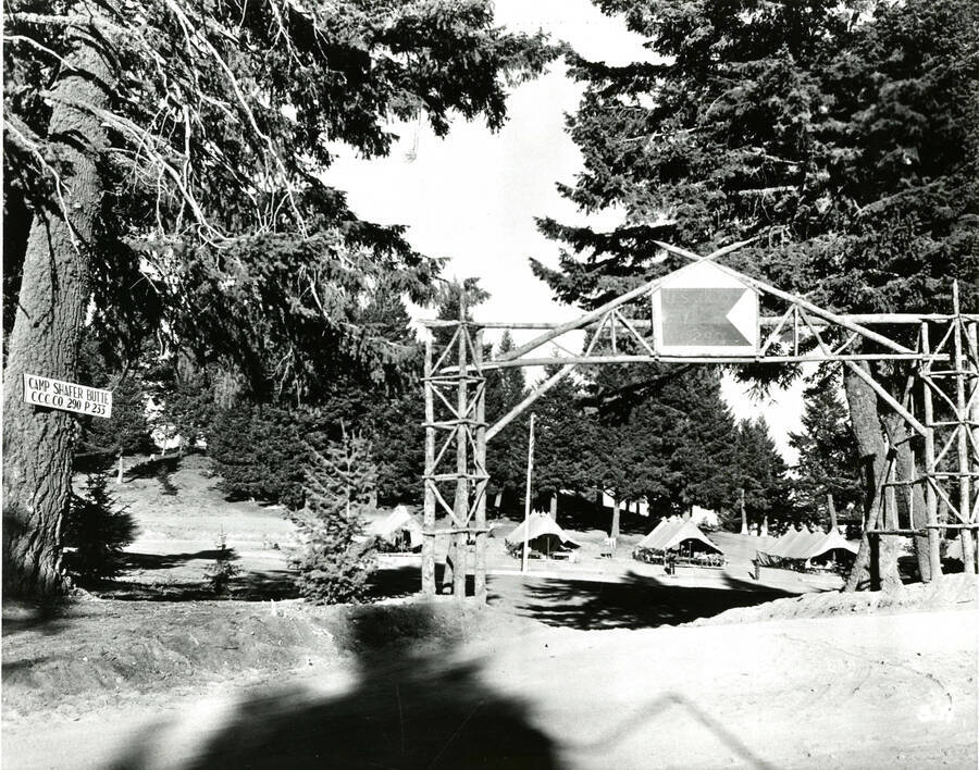 Photograph of entrance to spike camp P-233, C-290, Camp Shafer Butte, showing tents in a forest setting. Handwriting on back says: Shafer Butte Idaho