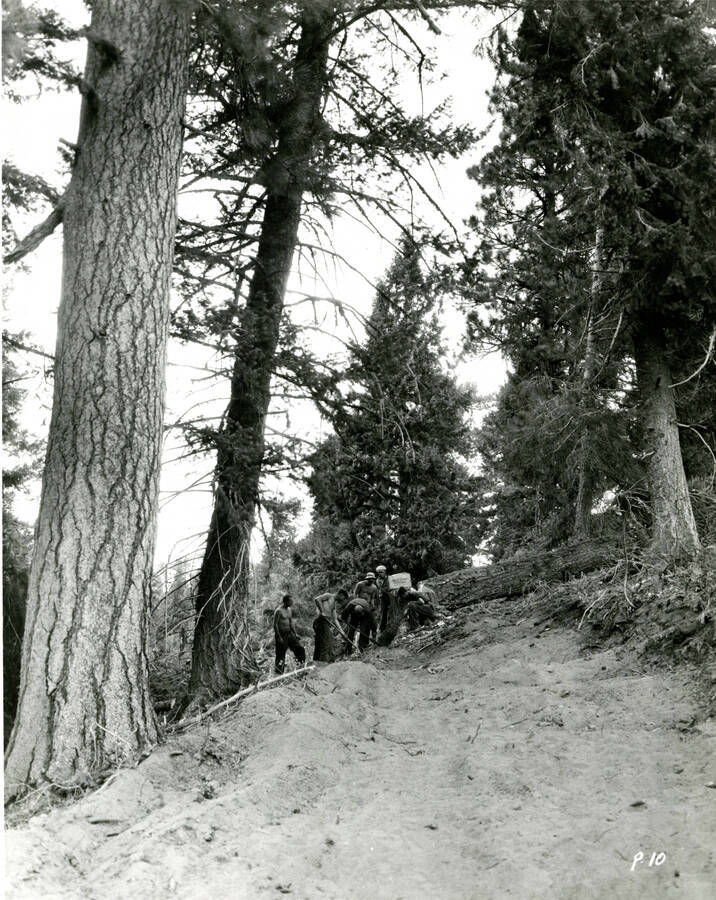 Work crew clearing trail, Camp Shafer Butte,