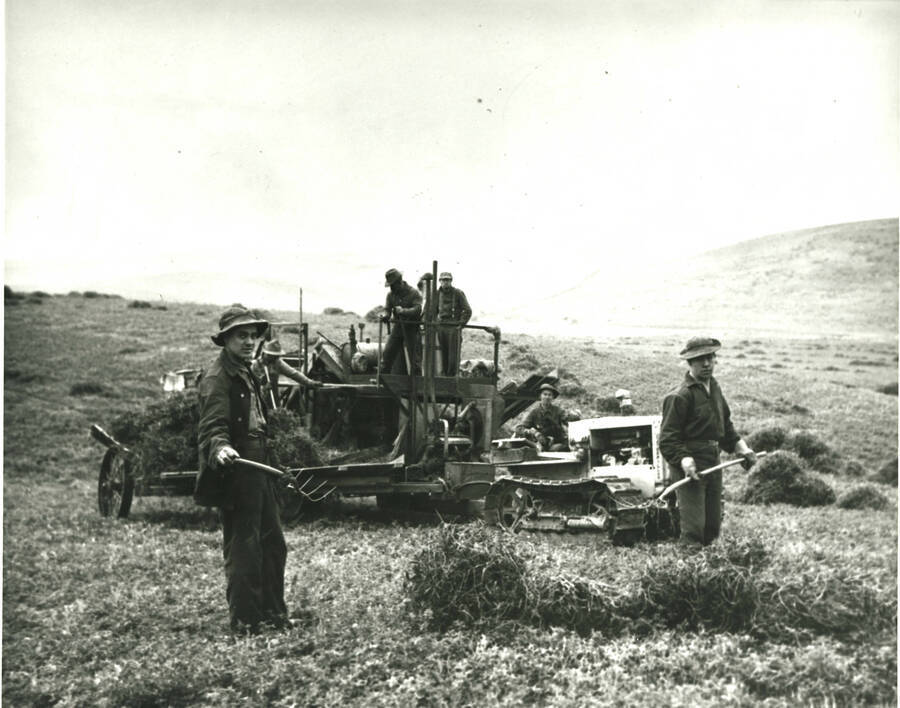 Work crew using pitchforks to load vegetation onto trucks,  Palouse SCS District. Back of photograph is labeled in red Palouse SCS District. Credit Line Civilian Conservation Corps, Lot no. 35-SU-3F National Archives