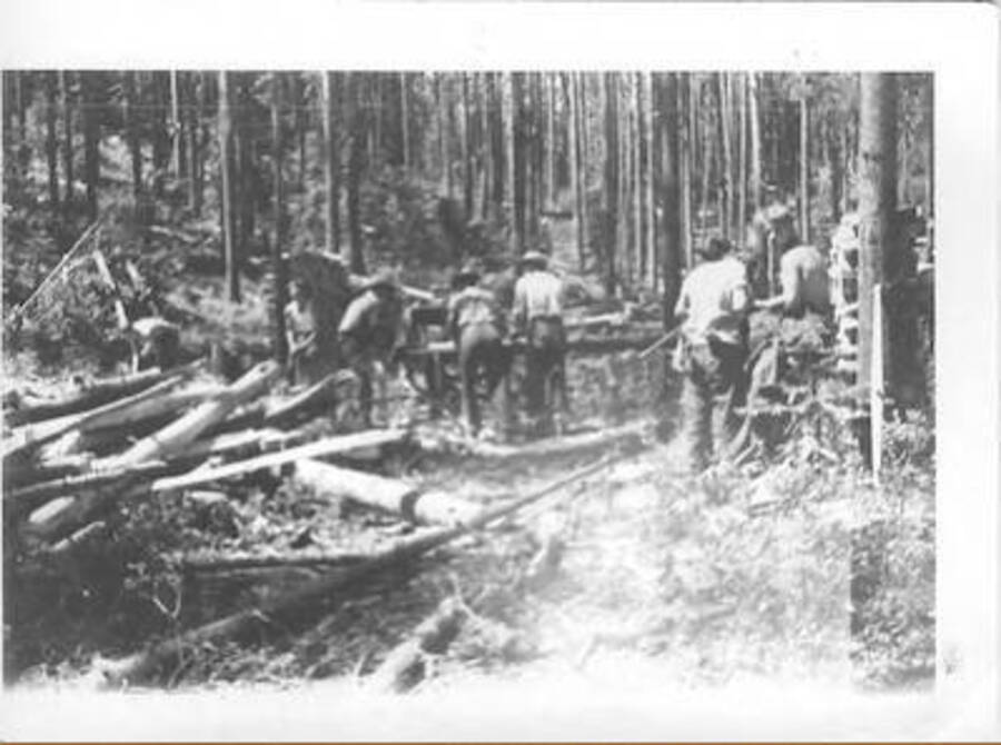 Work crew, Camp Smith Ferry, 1939. Caption: '?tree-cutting'