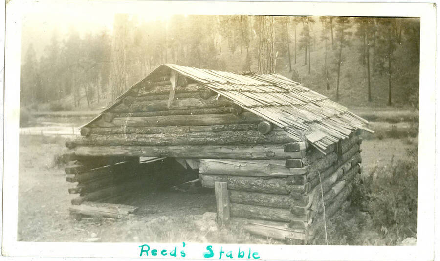 Log shack. Picture from photo album. Handwritten in ink: 'Reed's Stable',  This is likely to be located at Camp Creek, South Fork of the Salmon River, which built Krassel Ranger Station and is near Reed Ranch, five miles south of Krassel.